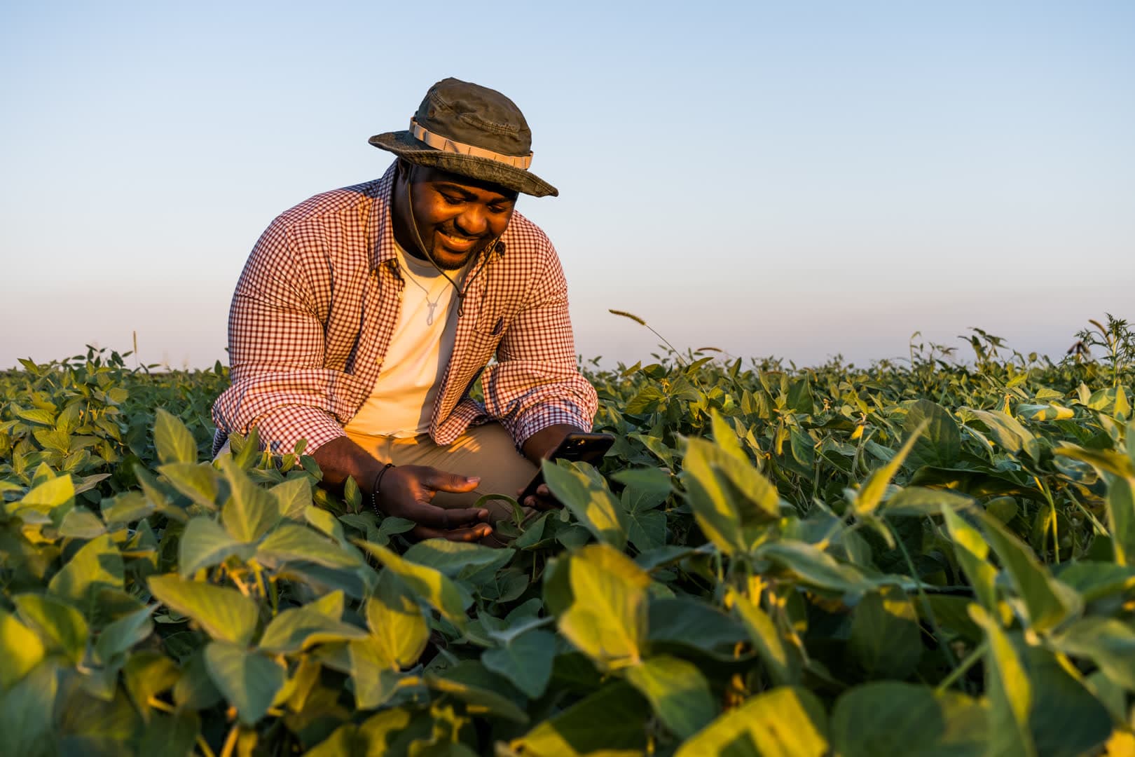 Smiling farmer in agricultural setting